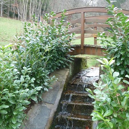 Ferienwohnung Am Wald Doerlinbach Schuttertal Екстер'єр фото