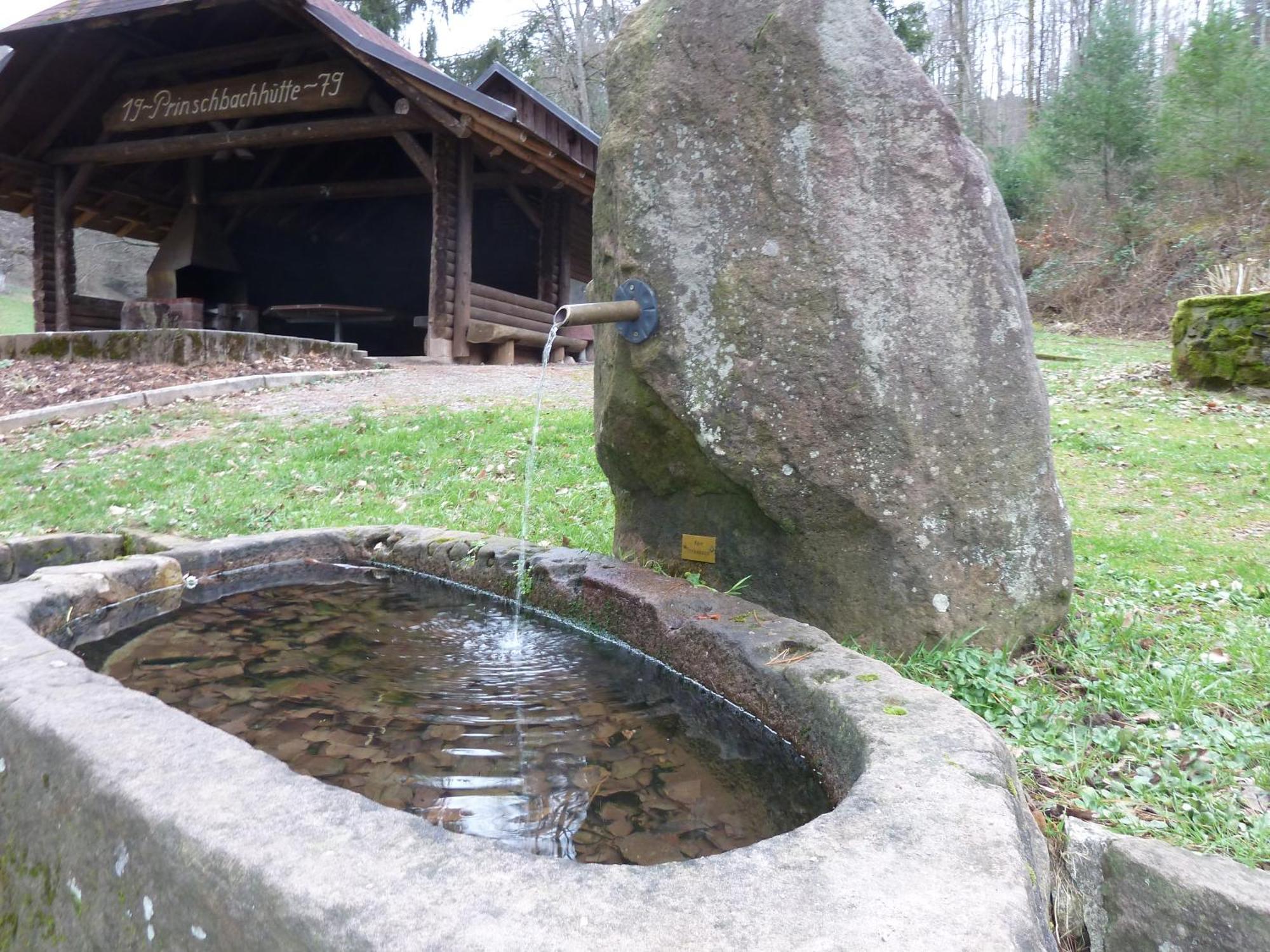 Ferienwohnung Am Wald Doerlinbach Schuttertal Екстер'єр фото