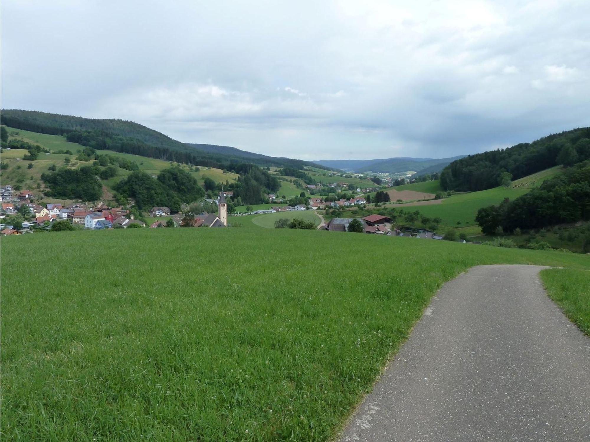 Ferienwohnung Am Wald Doerlinbach Schuttertal Екстер'єр фото
